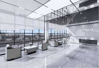 佛山金钻蝴蝶兰种植