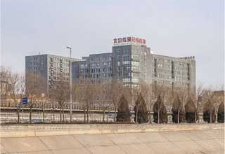 广东头顶脱发怎么办